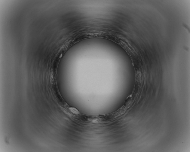 X0000091650564200708231012