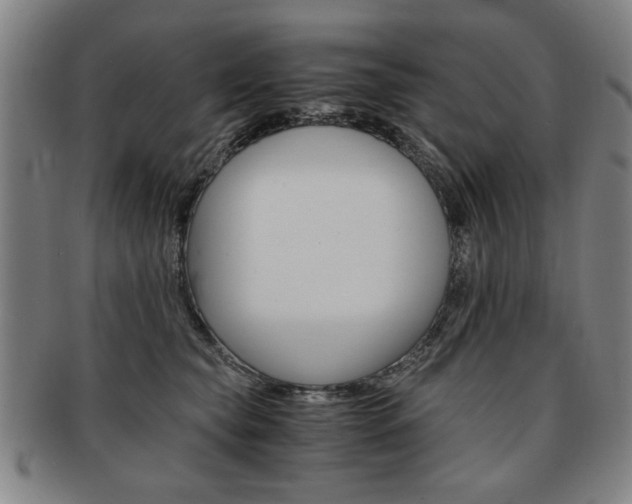 X0000091650565200708231012