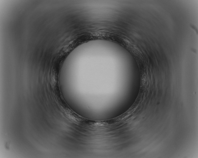 X0000091650566200708231012