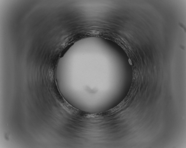 X0000091650568200708231012