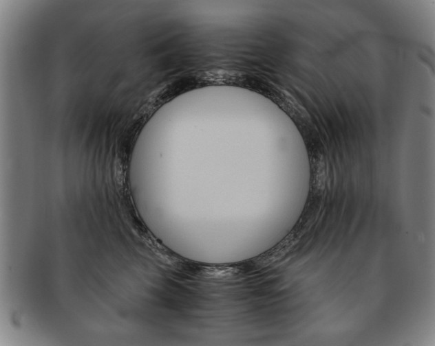 X0000091650569200708231012