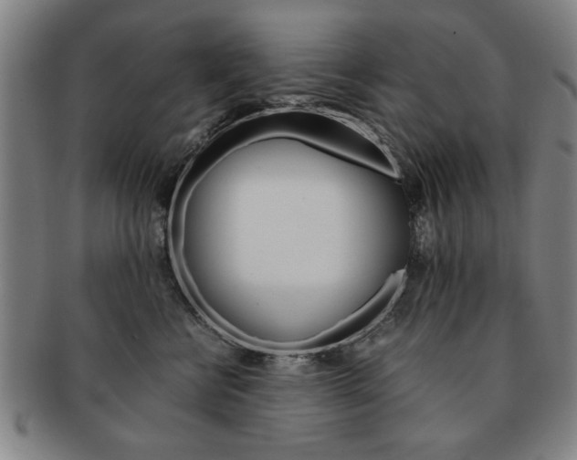 X0000091650570200708231012