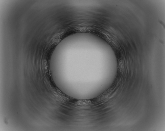 X0000091650571200708231012