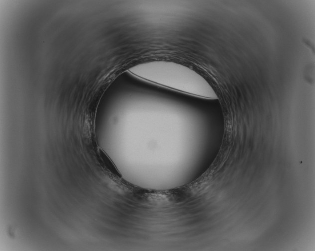 X0000091650572200708231013