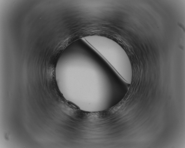 X0000091650574200708231013