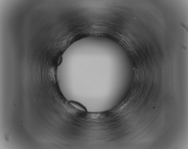 X0000091650575200708231013