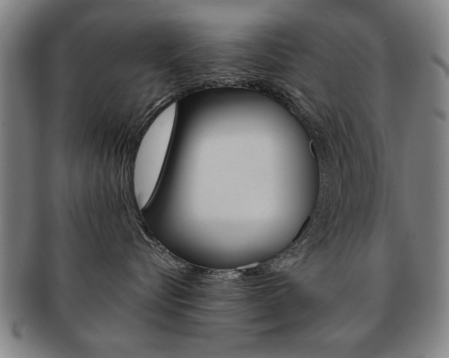 X0000091650576200708231013