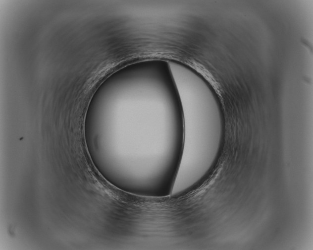X0000091650577200708231012