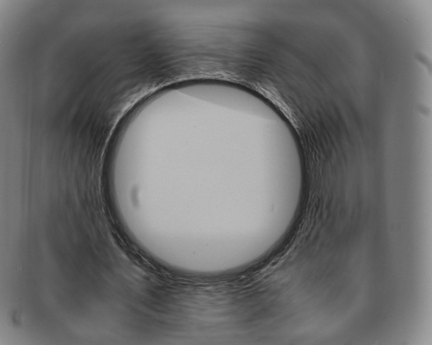 X0000091650579200708231012