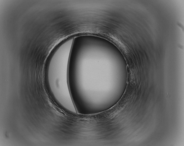 X0000091650580200708231012