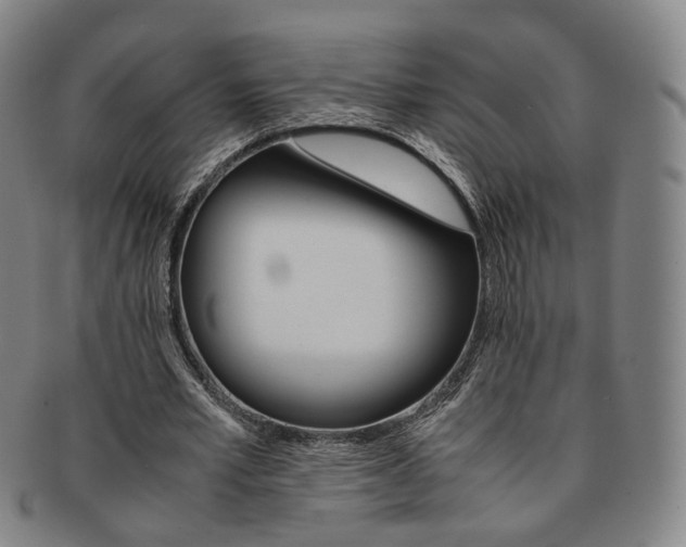 X0000091650581200708231012