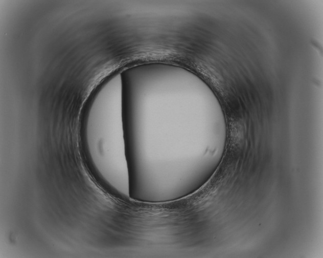 X0000091650582200708231012