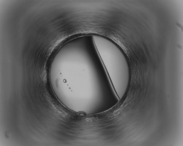X0000091650584200708231012