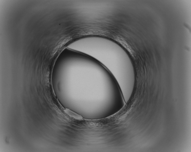 X0000091650585200708231012