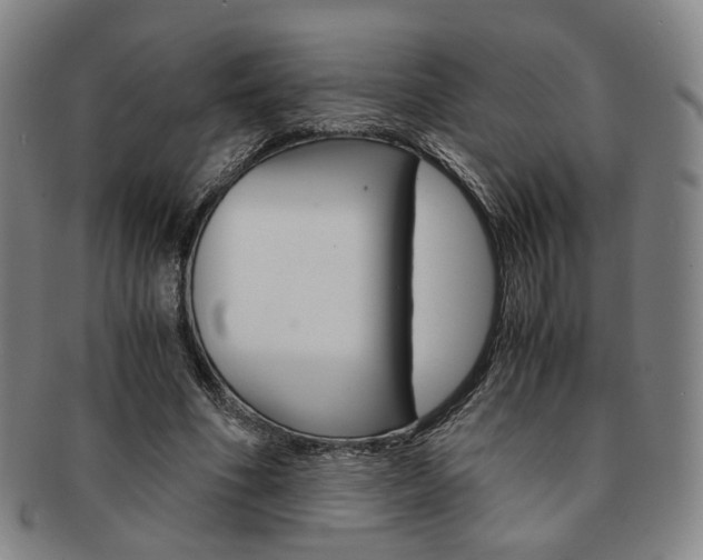 X0000091650586200708231012