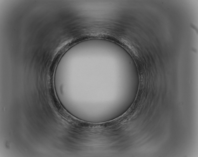 X0000091650587200708231012