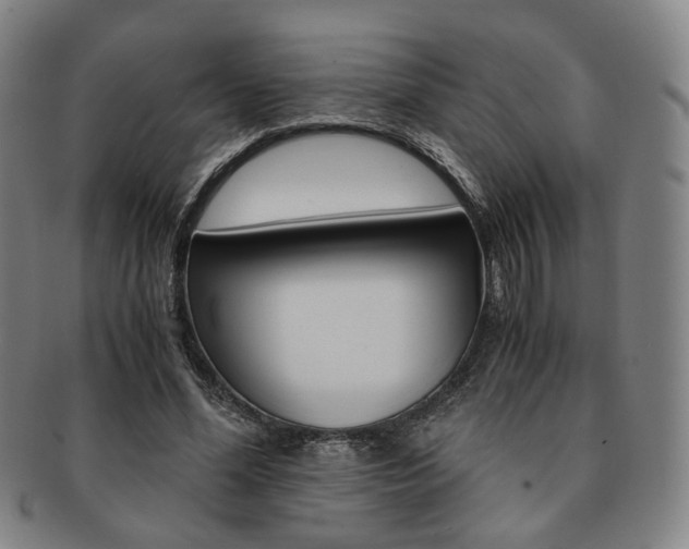 X0000091650588200708231012