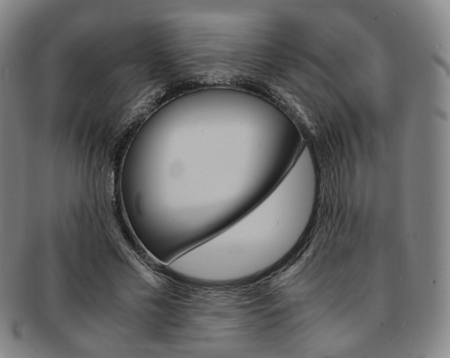 X0000091650589200708231012