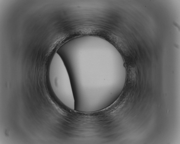 X0000091650590200708231012
