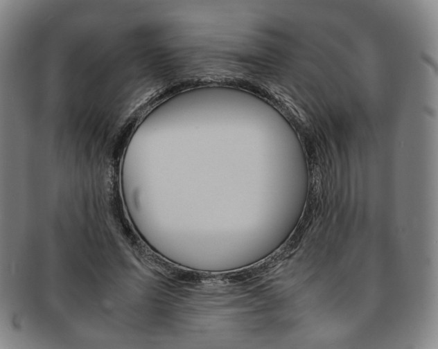 X0000091650591200708231012