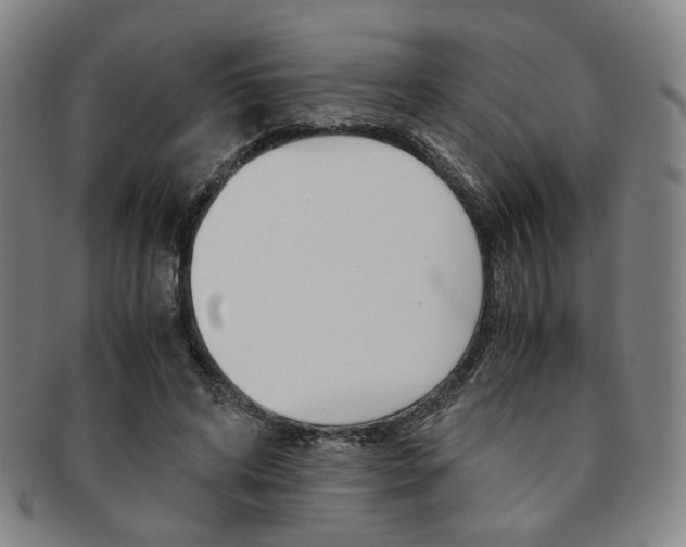 X0000091650592200708231012