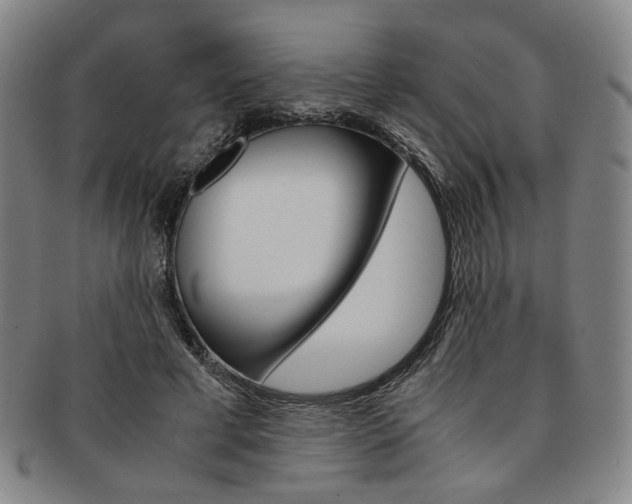 X0000091650593200708231012