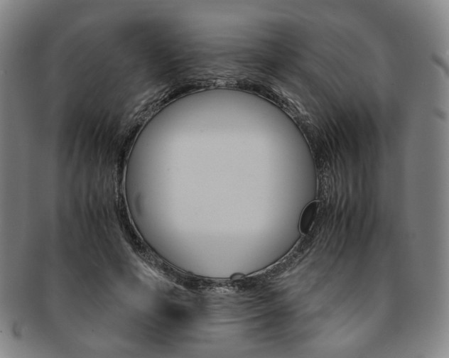 X0000091650594200708231012