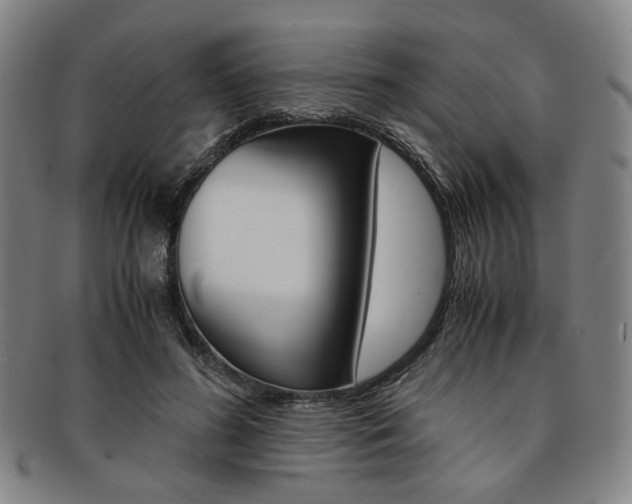 X0000091650596200708231012