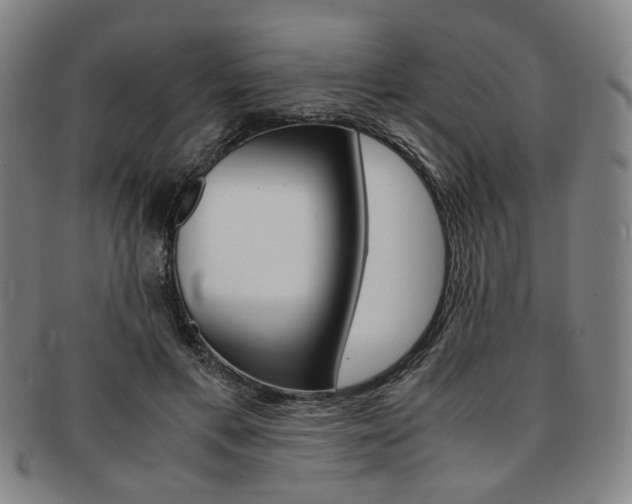 X0000091650597200708231012