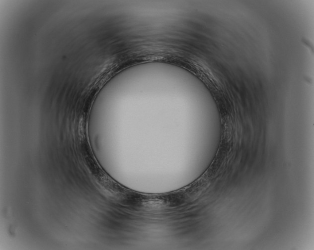 X0000091650598200708231012