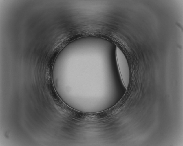 X0000091650599200708231012
