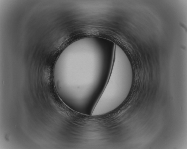 X0000091650600200708231012