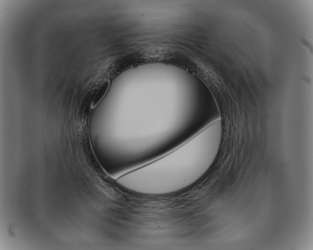 X0000091650601200708231012
