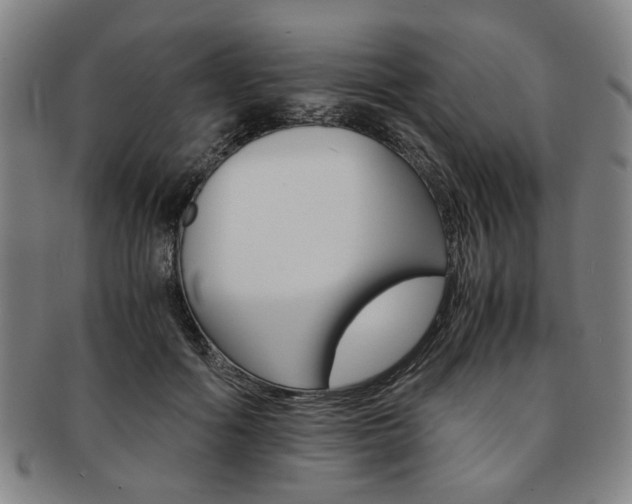 X0000091650602200708231012