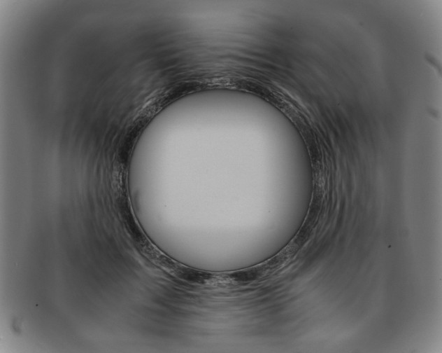 X0000091650603200708231012