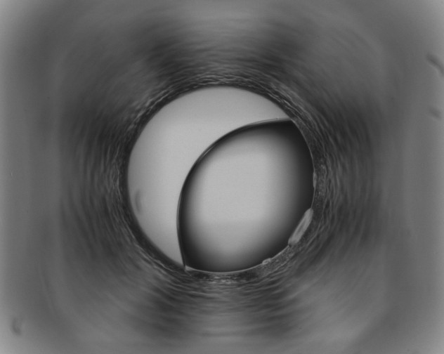 X0000091650604200708231012