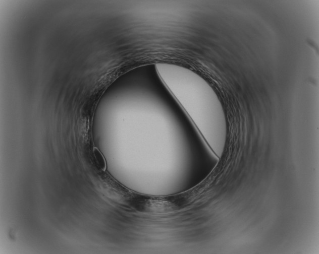 X0000091650605200708231012