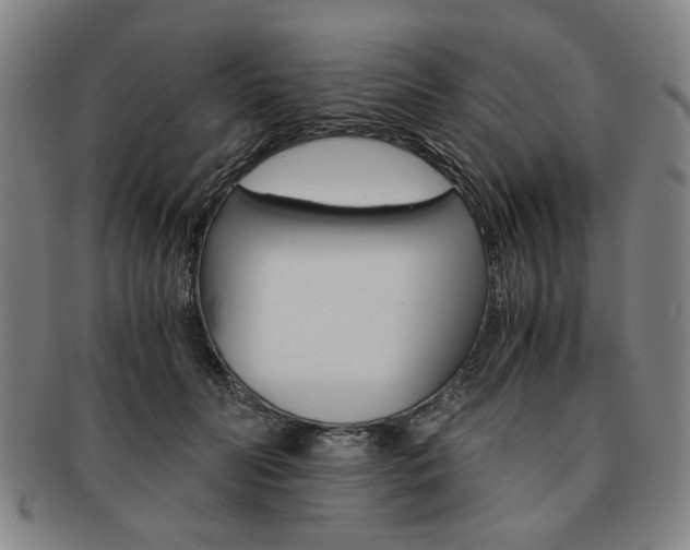 X0000091650606200708231012