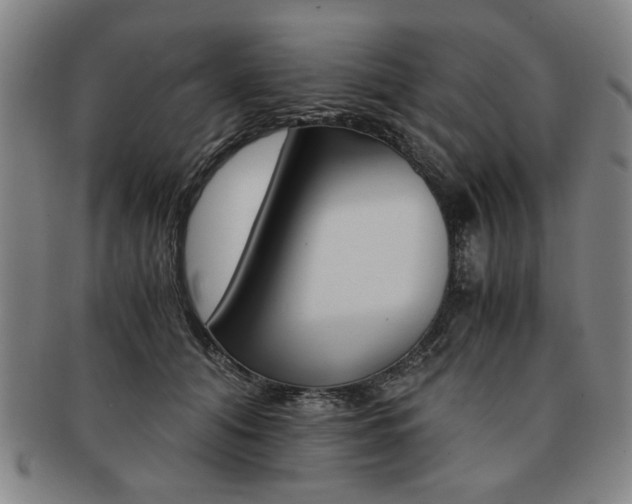 X0000091650608200708231011