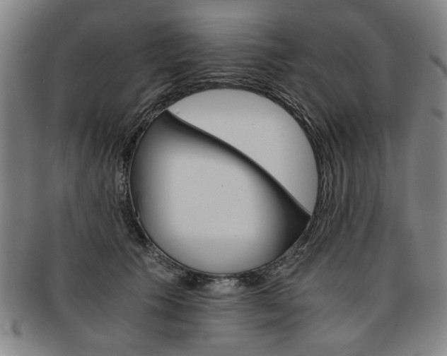 X0000091650609200708231011