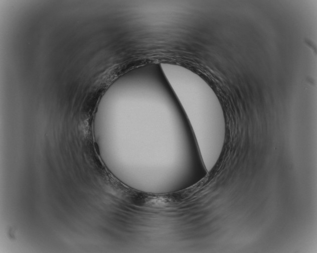 X0000091650611200708231011