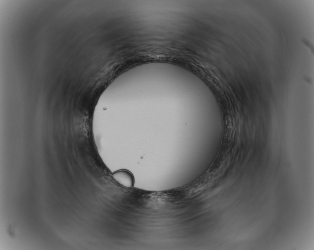 X0000091650612200708231011