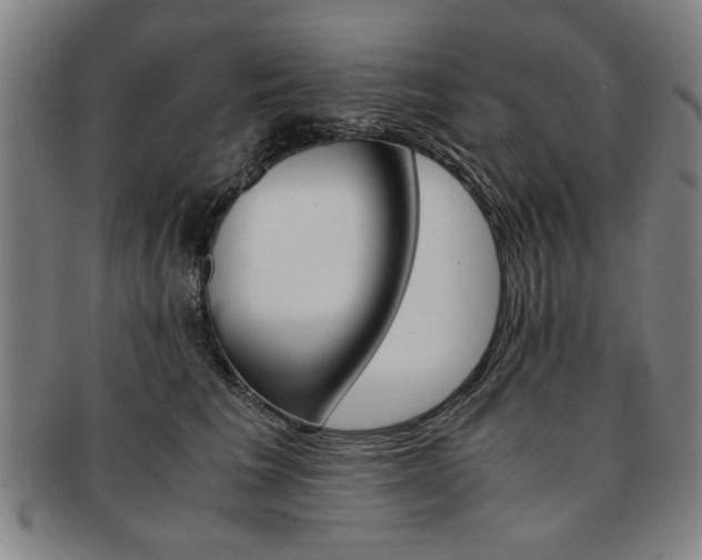 X0000091650613200708231011