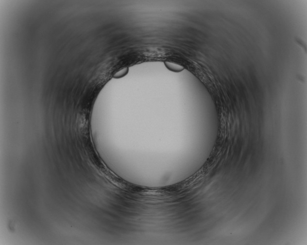 X0000091650614200708231011