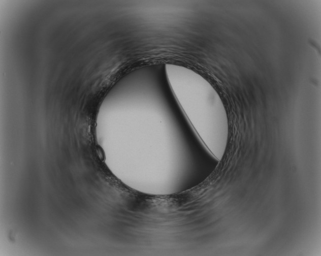 X0000091650615200708231011