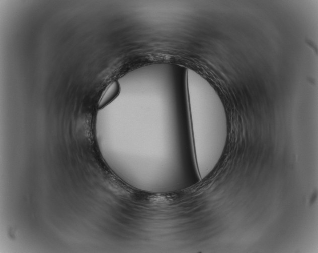 X0000091650616200708231011