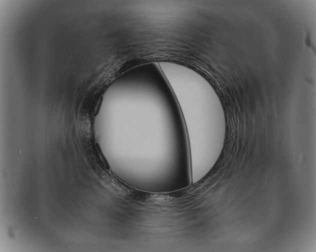 X0000091650617200708231011