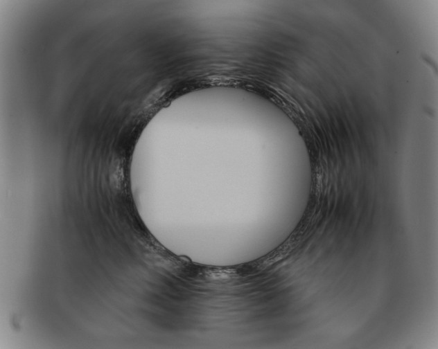 X0000091650618200708231011