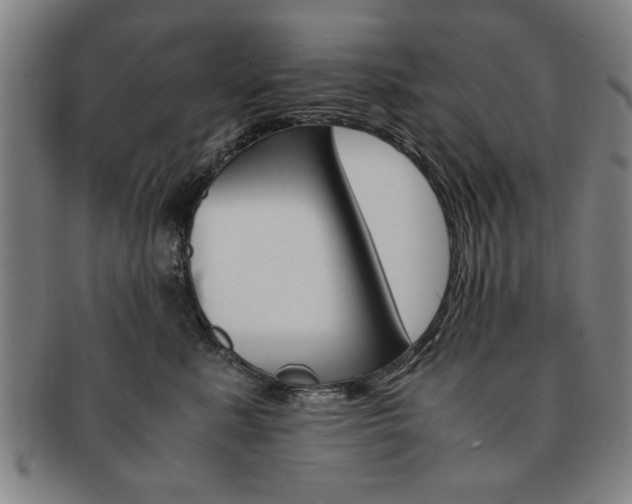 X0000091650619200708231011