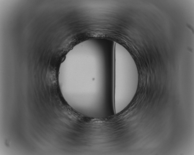 X0000091650620200708231011